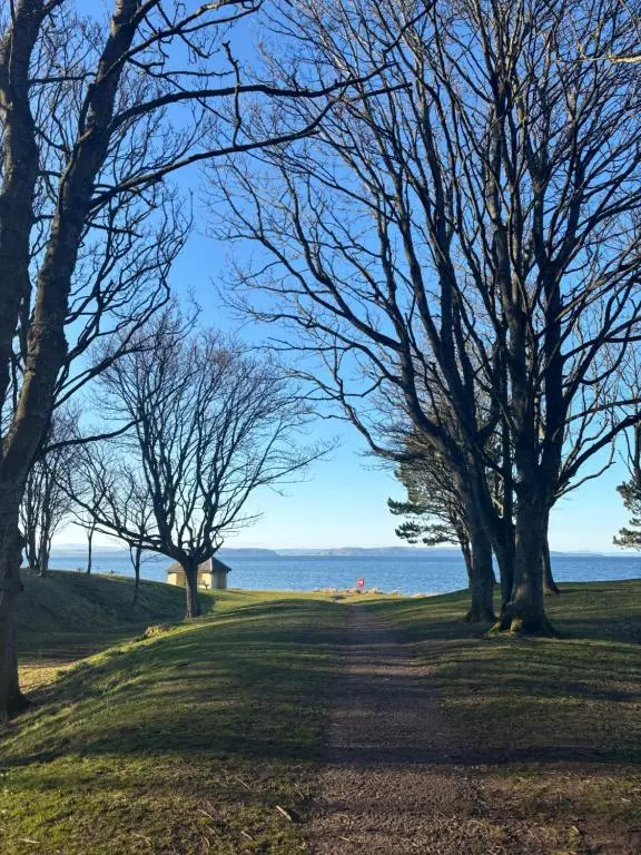 a tree lined path with the ocean in the background at Bluebell Cottage in Nairn