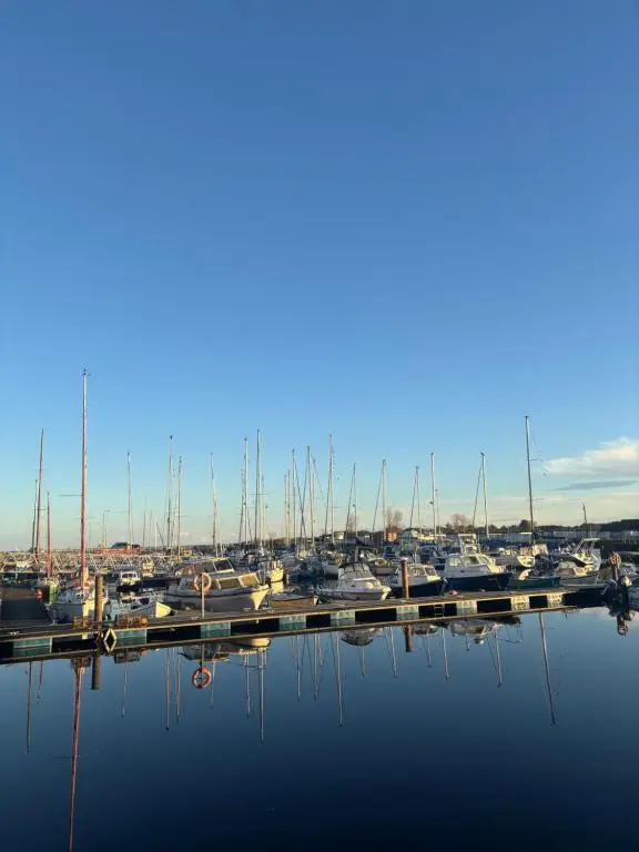 a group of boats docked at a marina at Bluebell Cottage in Nairn
