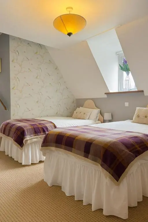 a bedroom with two beds in a attic at Overscaig House in Lairg