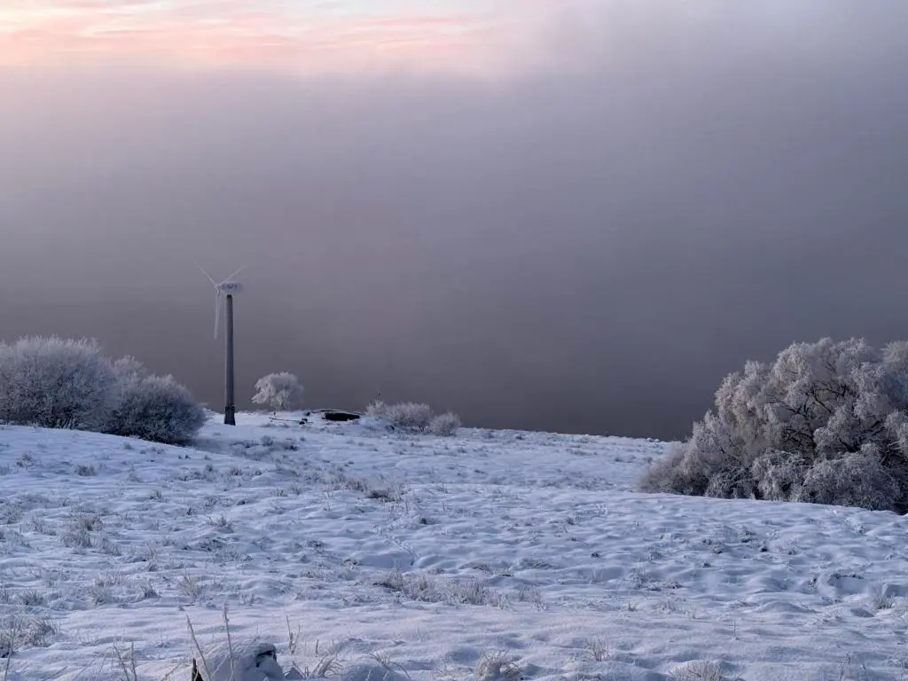 a snow covered hill with trees and a light pole at Overscaig House - The Annexe in Lairg