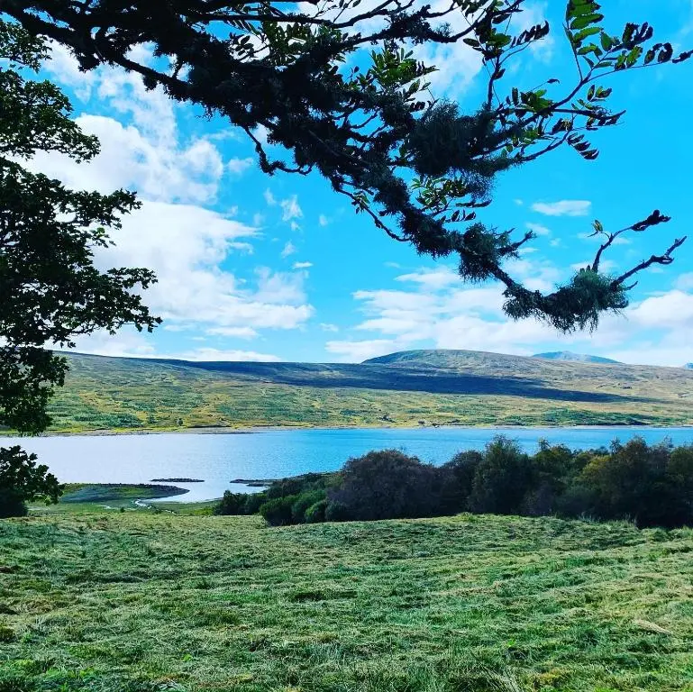 a view of a lake in the hills at Overscaig House - The Annexe in Lairg