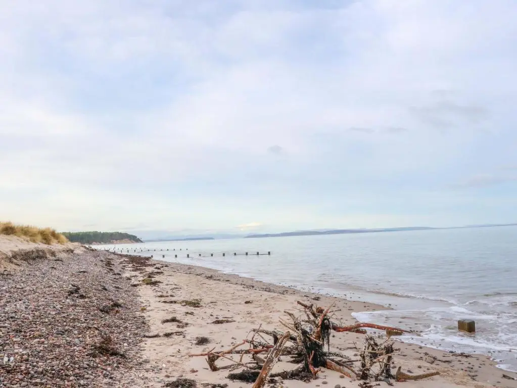 a beach with a group of birds in the water at 78 Findhorn in Forres