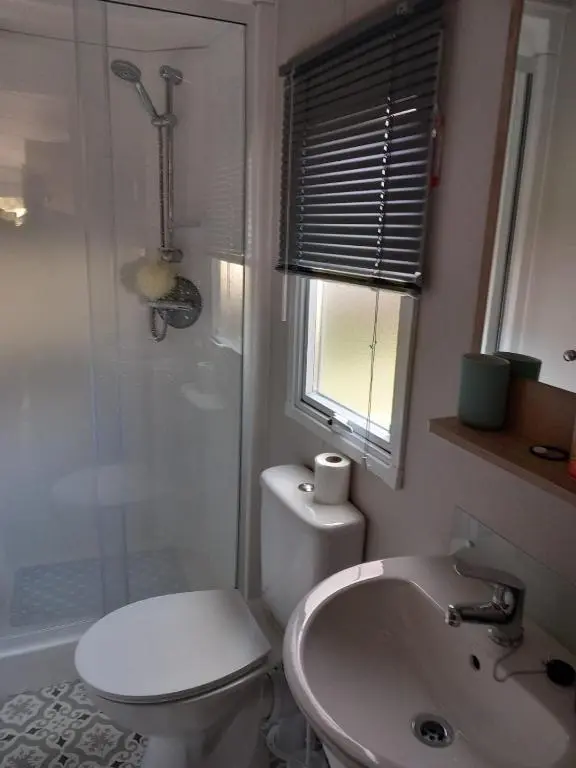 a bathroom with a toilet and a sink and a shower at Boat 32 in Boat of Garten