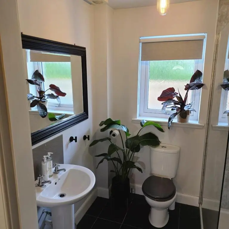 a bathroom with a toilet and a sink and two windows at Shamus cottage in Alness