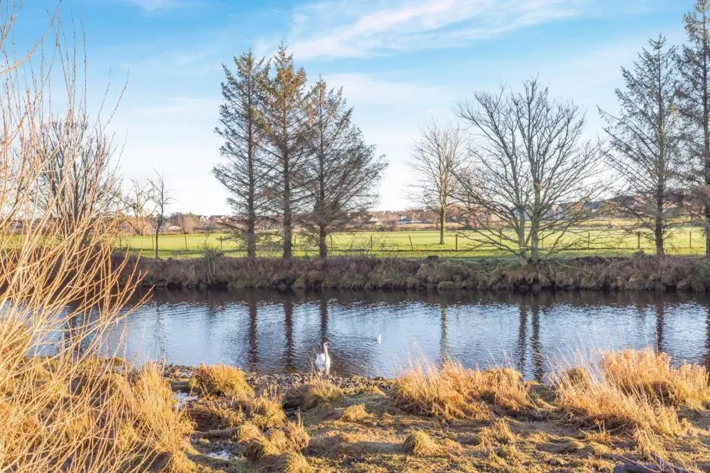 a duck swimming in a pond in a field at 2 Bed in Nairn oc-t34496 in Nairn