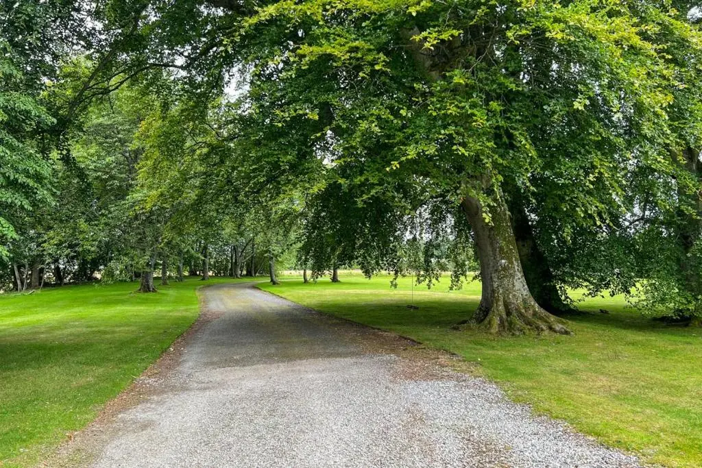 a road with a large tree next to a field at Averon Castle in Alness