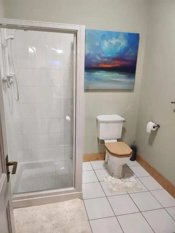 a bathroom with a shower and a toilet at Recently refurbished former art studio in Rothiemay Station