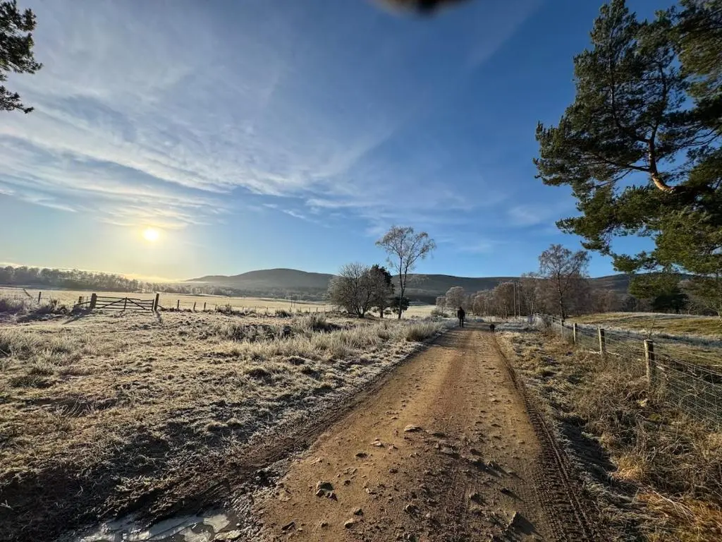 a dirt road in the middle of a field at Cosy Highland Cottage in the Woods on Royal Deeside in Coldstone