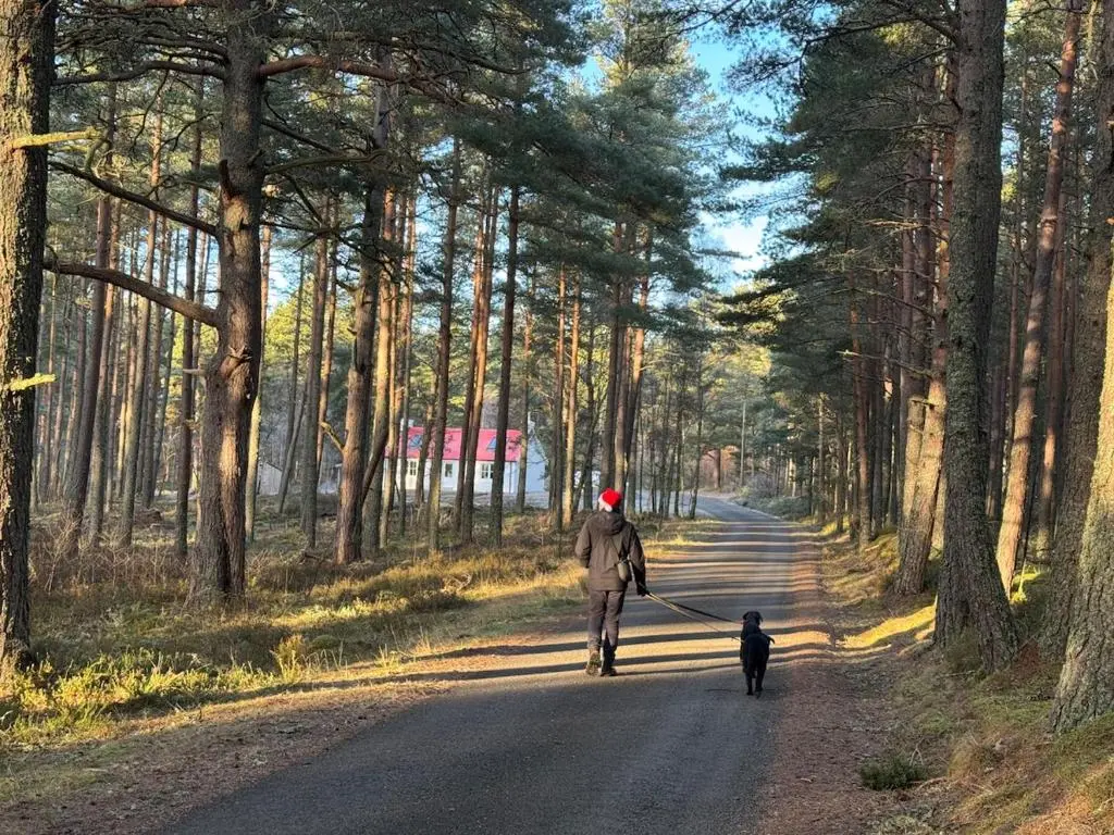 a person walking a dog down a road at Cosy Highland Cottage in the Woods on Royal Deeside in Coldstone