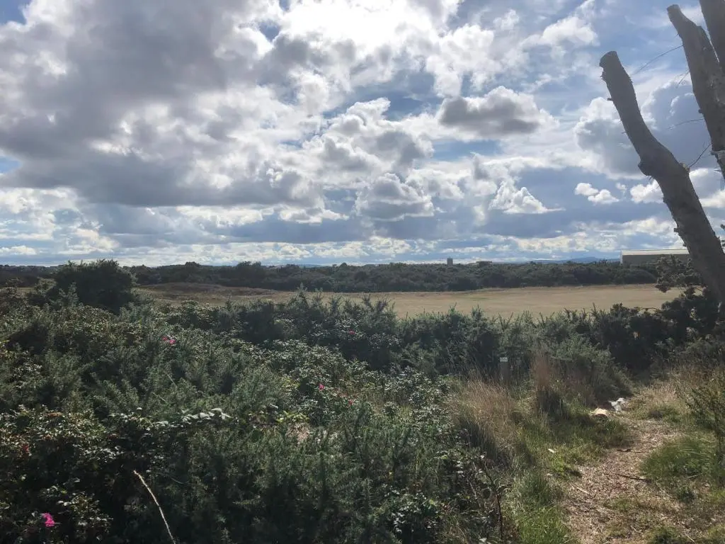 a field with plants and a sky with clouds at Dunes Escape in Lossiemouth