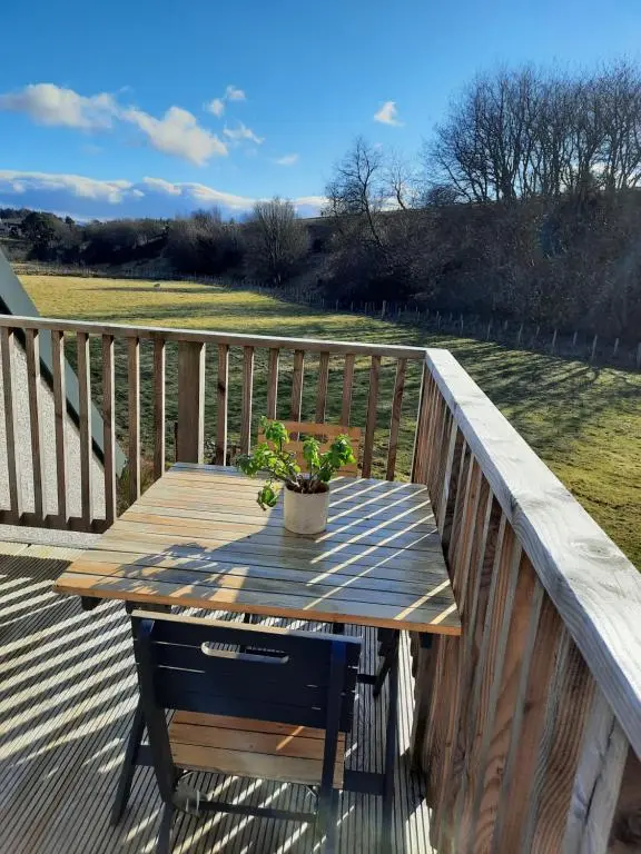 a wooden table on a deck with a potted plant at The Wee Loft in Carrbridge