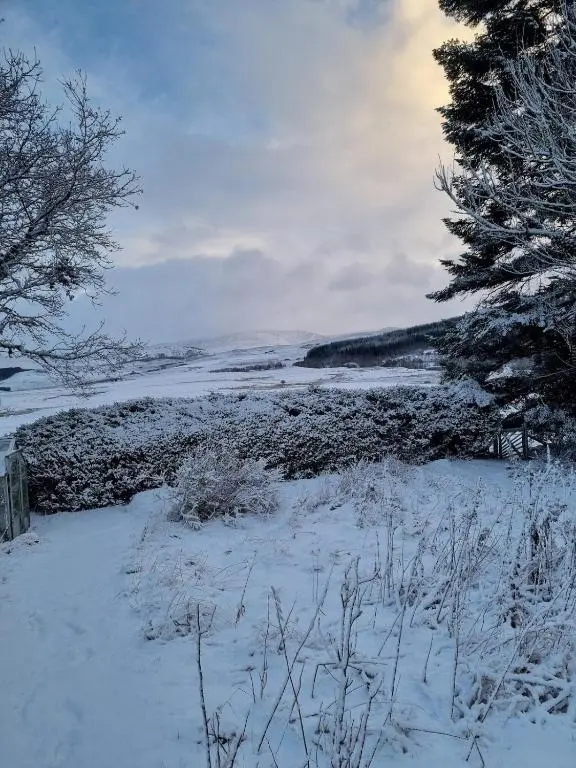 a snow covered field with trees and a snow covered ground at bochruben in Inverness
