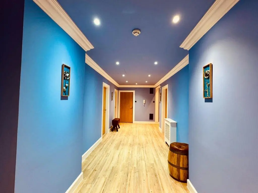 a hallway with blue walls and a dog in a room at Entirely New Monastery Renovation on Loch Ness in Fort Augustus