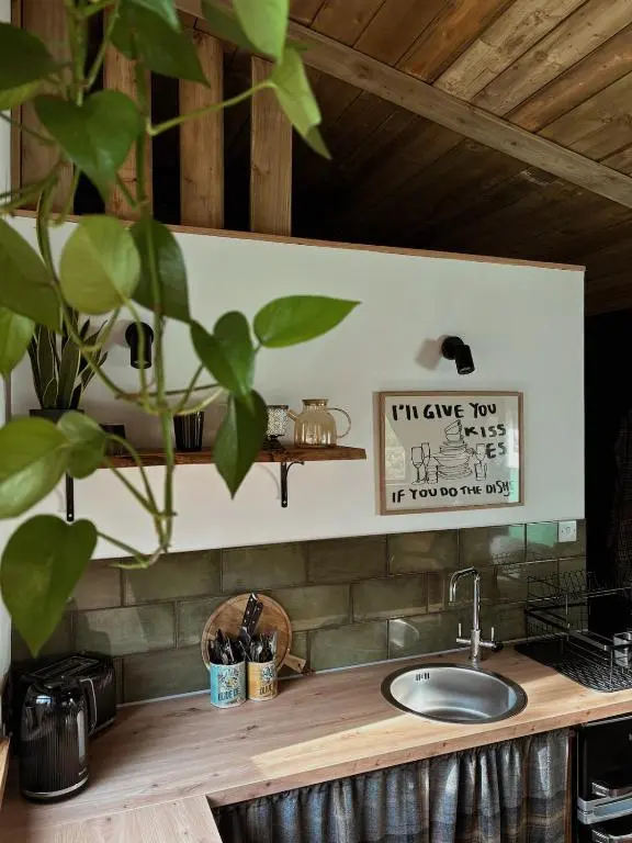 a kitchen counter with a sink and a plant at Bespoke Wood Cabin - Loch Ness in Inverfarigaig