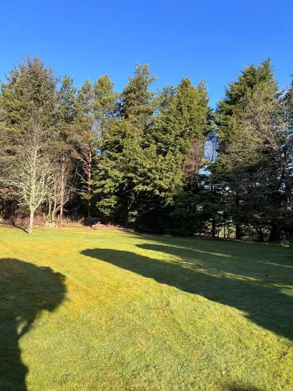 a large grass field with trees in the background at Freeburn Lodge - Tomatin in Tomatin