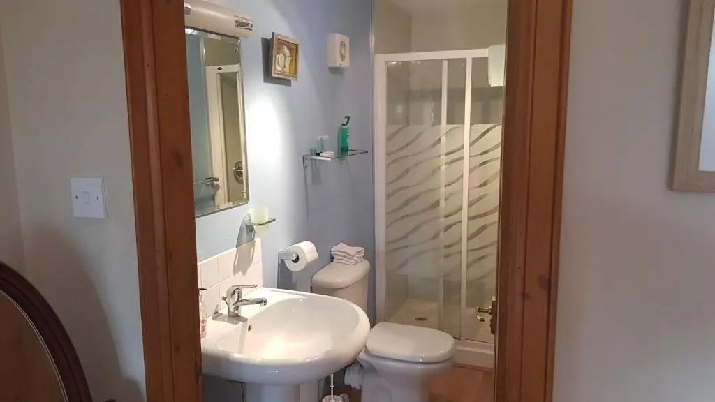 a bathroom with a sink and a toilet and a shower at Hosefield Bed and Breakfast in Ellon