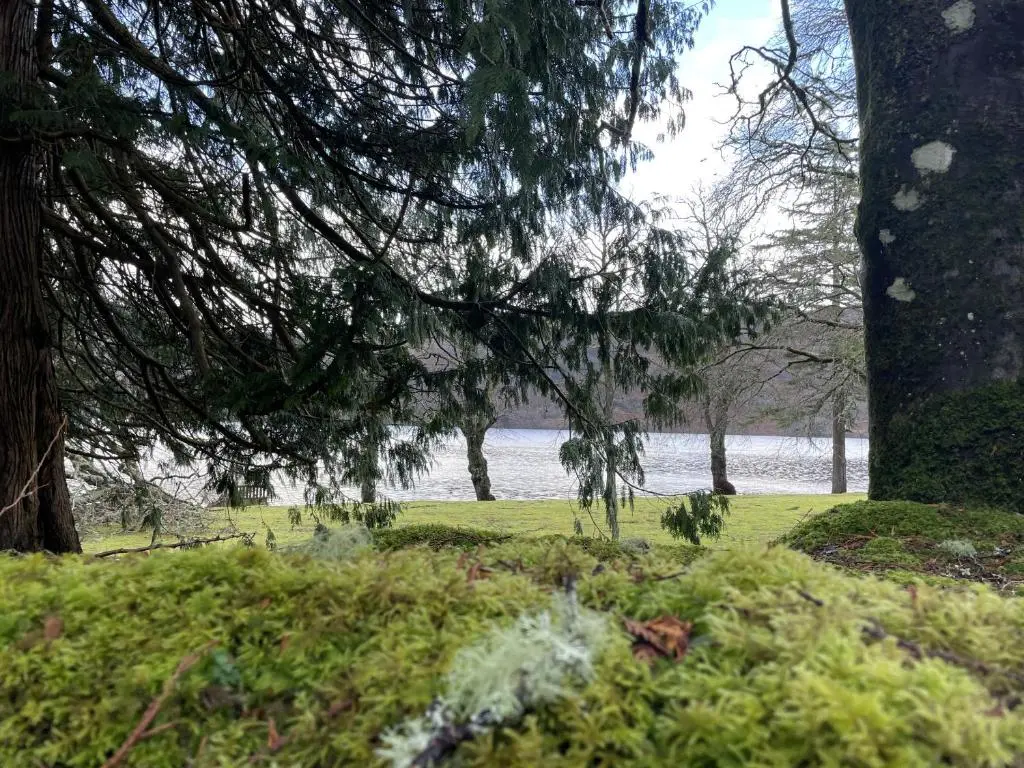 a park with trees and a body of water at The Classrooms, Loch Ness Abbey - 142m2 Lifestyle & Heritage apartment - Pool & Spa - The Highland Club - Resort on lake shores in Fort Augustus