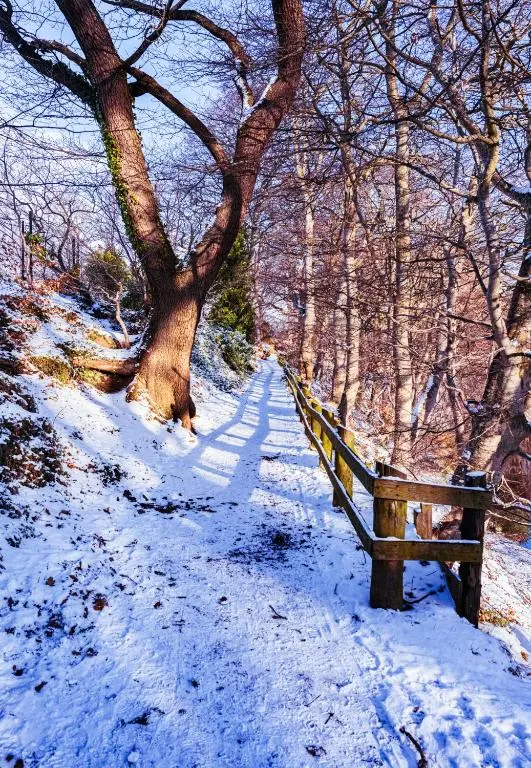 a wooden bench sitting on a snow covered trail at Elgin Self Catering Holiday Cottage in Elgin
