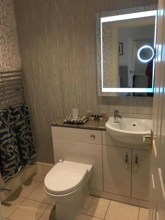 a bathroom with a toilet and a sink and a mirror at Ronas House in Inverness