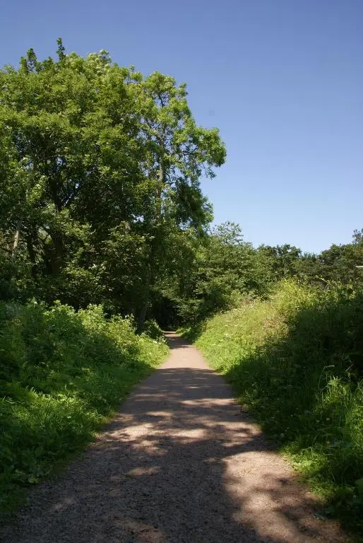 a dirt road with trees on either side at Wee Corsee in Nairn
