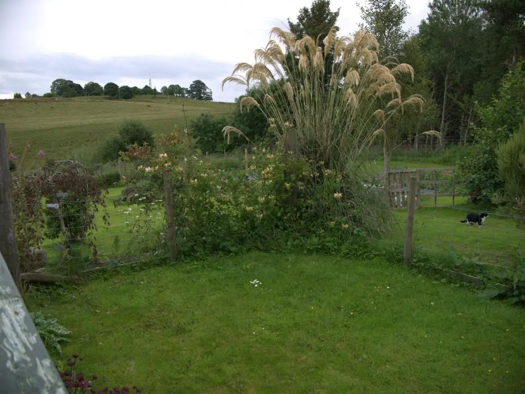 a garden with a fence and a dog in a field at Ornum Cottage in Beauly