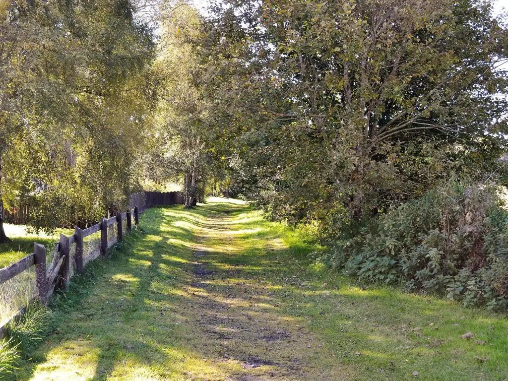 a dirt road with trees and a fence at The Old Granary in Ballindalloch