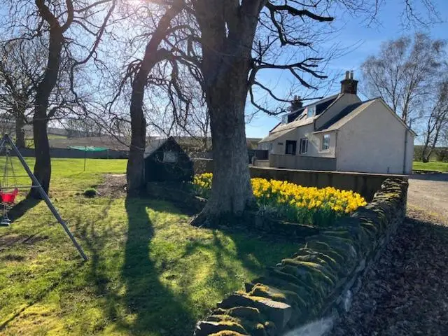 a house in a field with flowers and a stone wall at Eastwood Cottage in Turriff