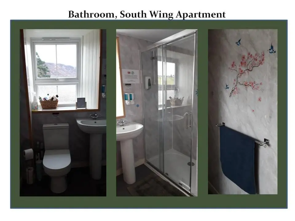 two pictures of a bathroom with a toilet and a sink at Bannockburn Inn in Helmsdale