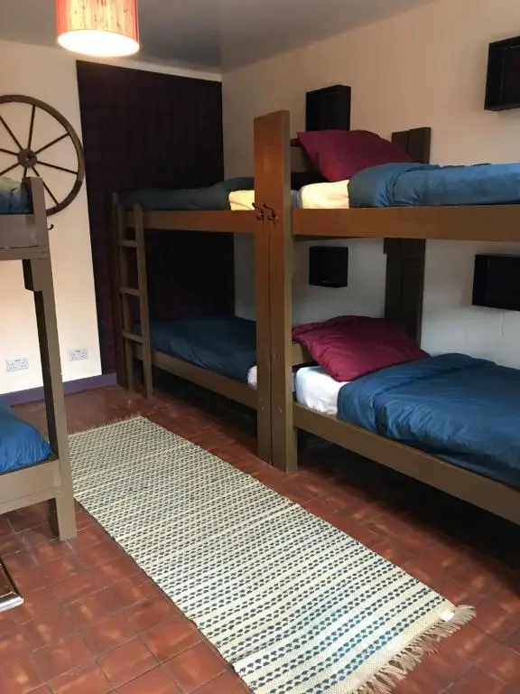 a room with four bunk beds and a rug at Loch Ness Backpackers Lodge in Drumnadrochit