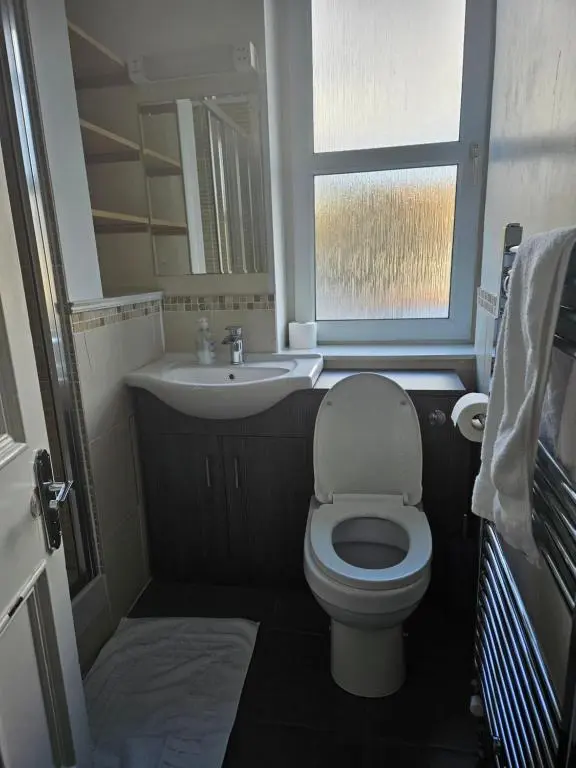 a bathroom with a toilet and a sink and a window at Dunskaith Villa in Inverness