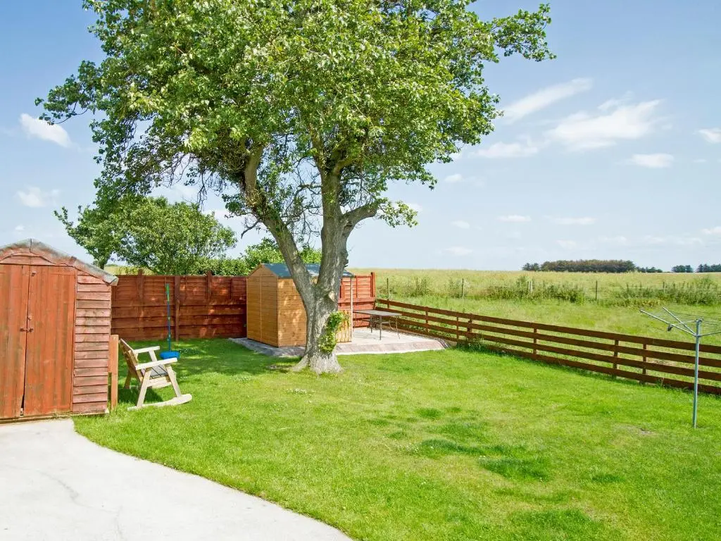 a backyard with a tree and a fence at The Paddock in Portmahomack