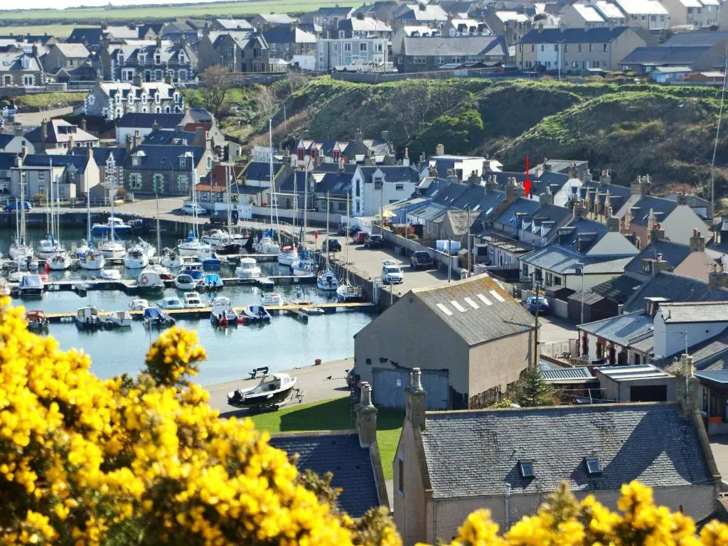 a view of a harbor with boats in the water at Salty Dog in Findochty