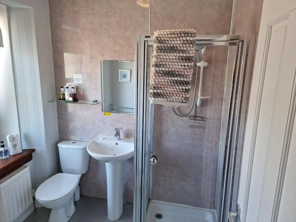 a bathroom with a toilet and a sink and a shower at Drumdale Bed and Breakfast in Inverness
