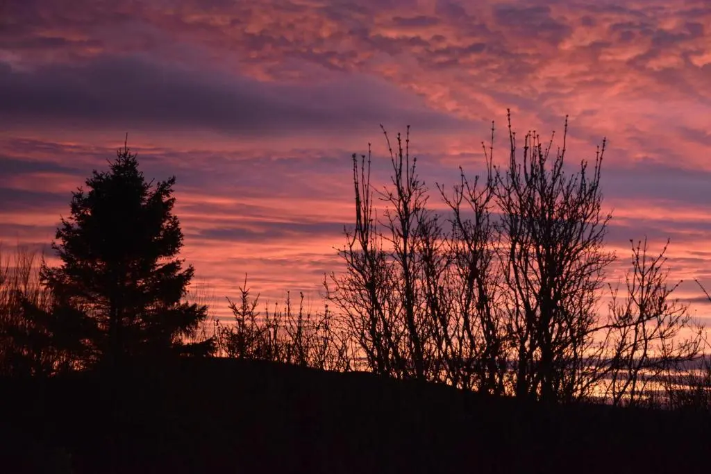 a sunset with two trees on top of a hill at Chapelhill Croft in Keith