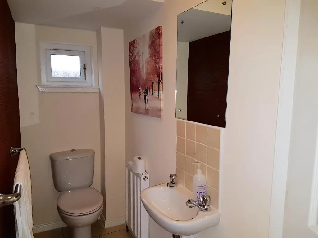 a bathroom with a toilet and a sink and a mirror at Jane's Villa Free Parking in Inverness