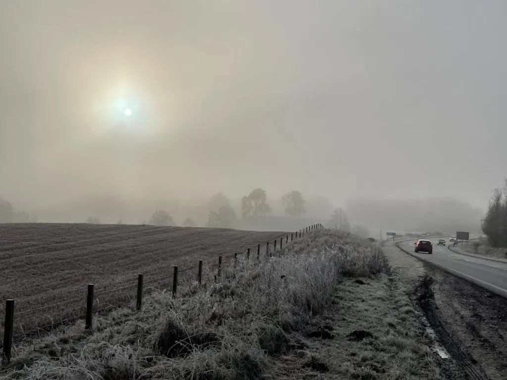 a car driving down a road next to a field at Coppice Cottage in Grantown on Spey