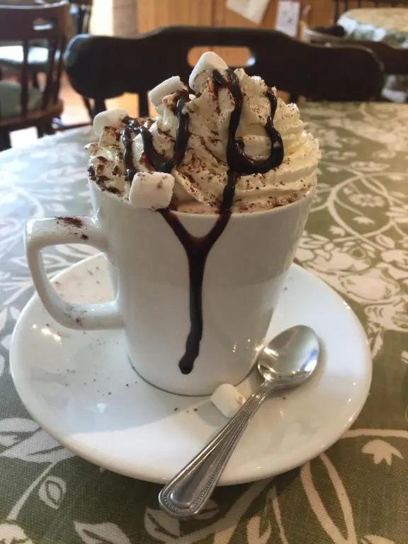 a cup of chocolate ice cream on a plate with a spoon at Forse of Nature in Latheron