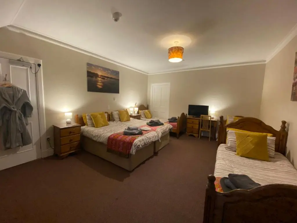 a bedroom with two beds and a desk with a television at Forse of Nature in Latheron
