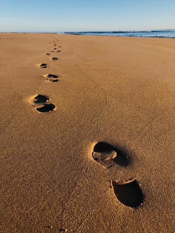 a group of footprints in the sand on a beach at Albatross B&B Dornoch in Dornoch
