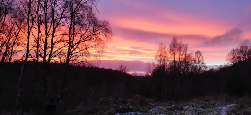 a sunset over a river with trees in the foreground at Sunrise House in Inverfarigaig