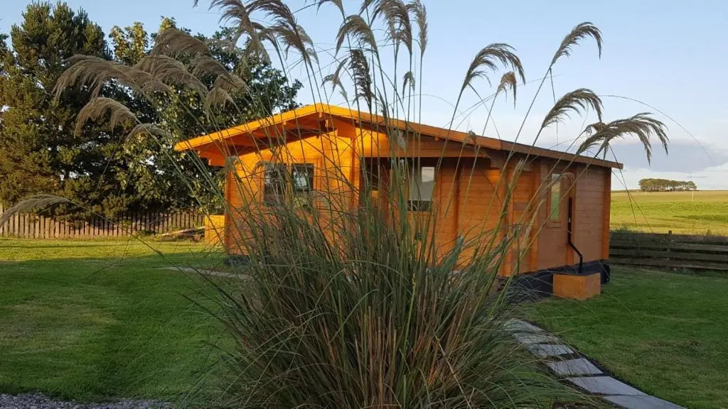 a small house in the middle of a field at Canterra Cottage in Tain