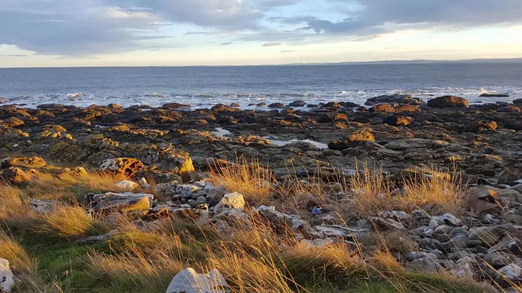 a rocky beach with the ocean in the background at Canterra Cottage in Tain