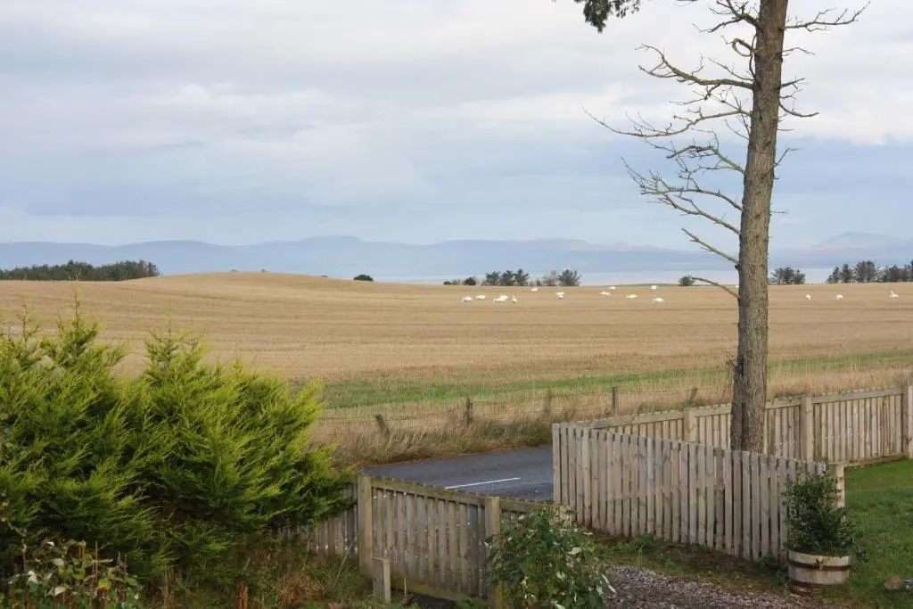 a fence and a field with sheep in the distance at Canterra Cottage in Tain