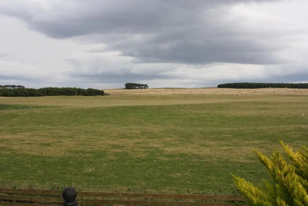 a large open field with a tree in the distance at Canterra Cottage in Tain