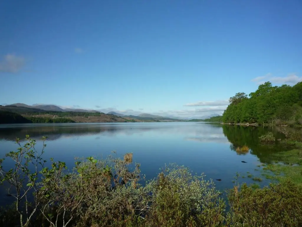 a view of a lake with trees on the shore at Caledonian Cabin in Invergarry