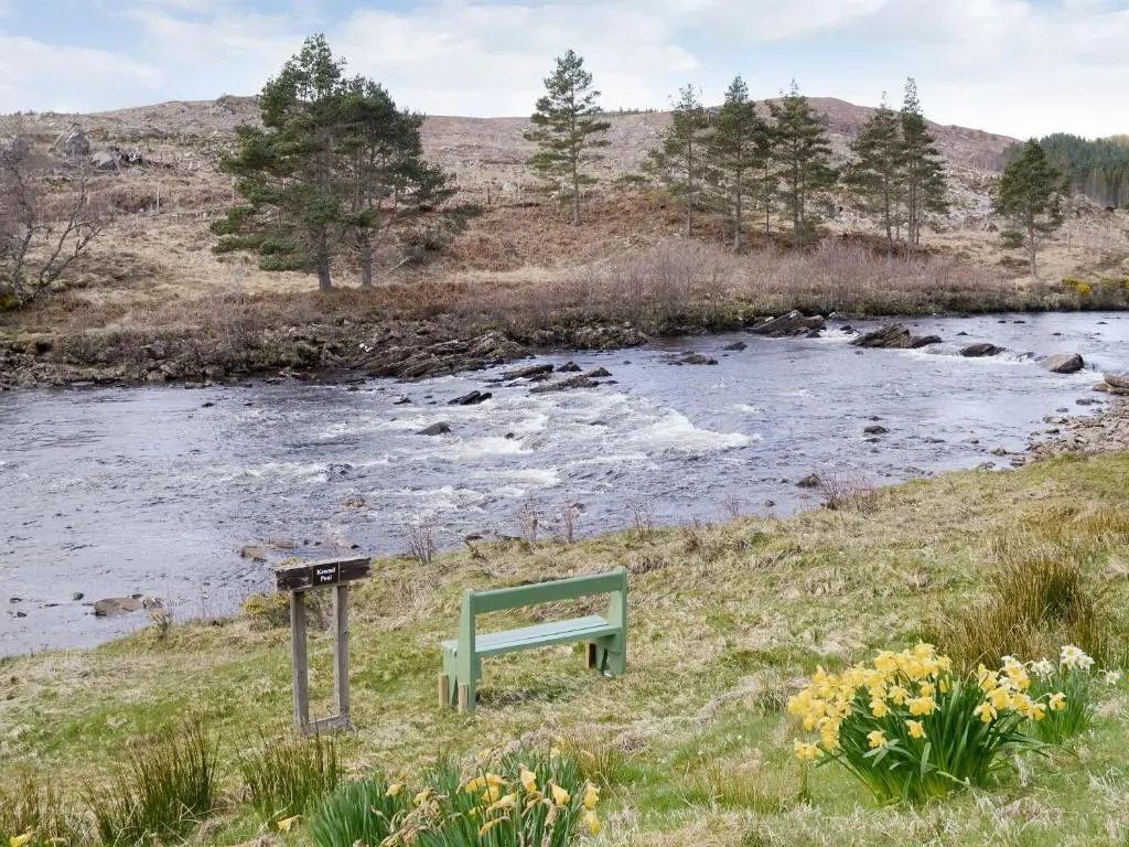 a green bench sitting in the grass next to a river at Birch Cottage in Glenrossal
