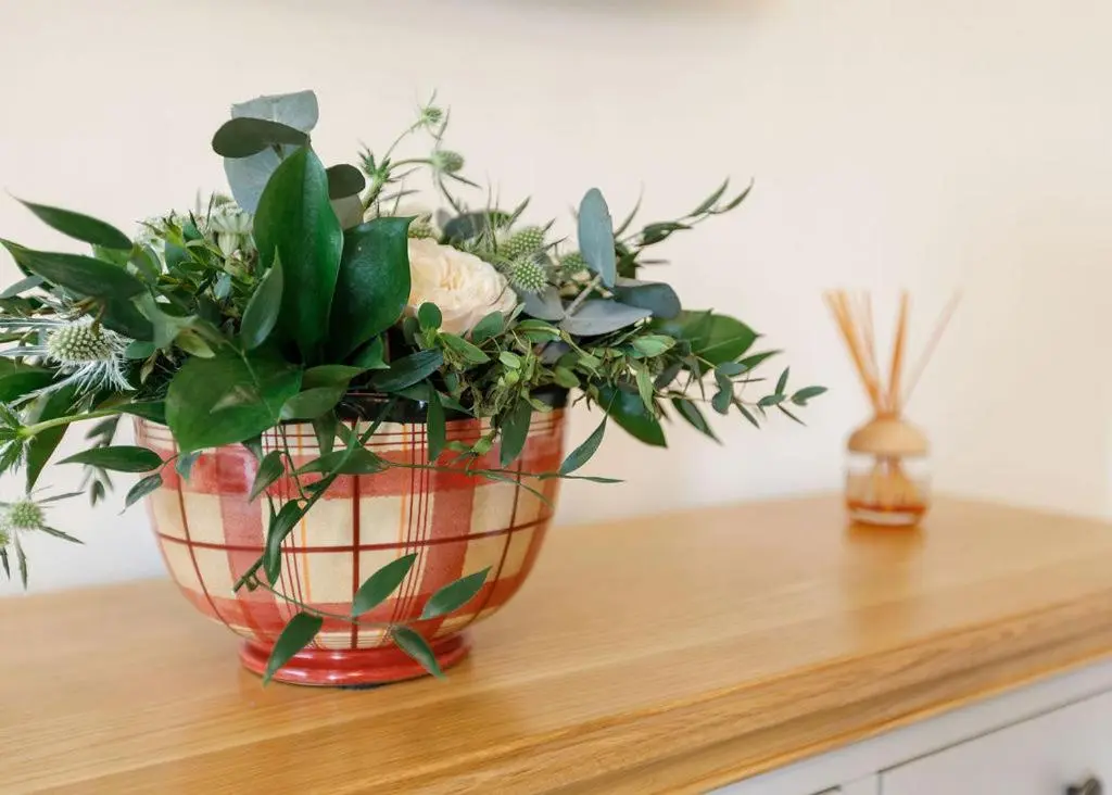 a vase filled with plants on top of a table at The Old Dairy in Lairg