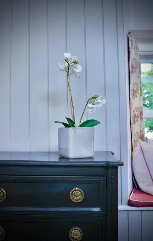 a plant in a white pot on top of a dresser at The Lodges @ Barra Castle in Inverurie
