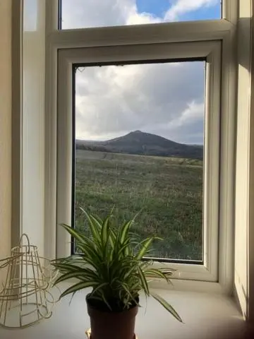 a potted plant sitting in front of a window at Broadsea in Inverurie