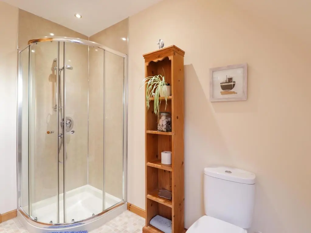a bathroom with a shower and a white toilet at Bruach Gorm Cottage in Grantown on Spey